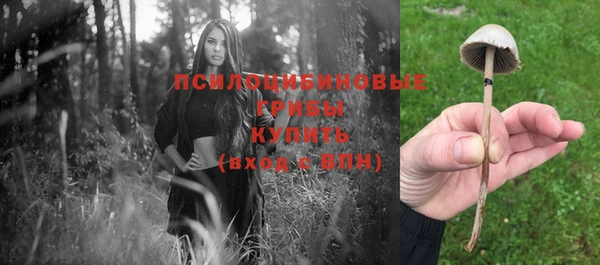 дмт Армянск