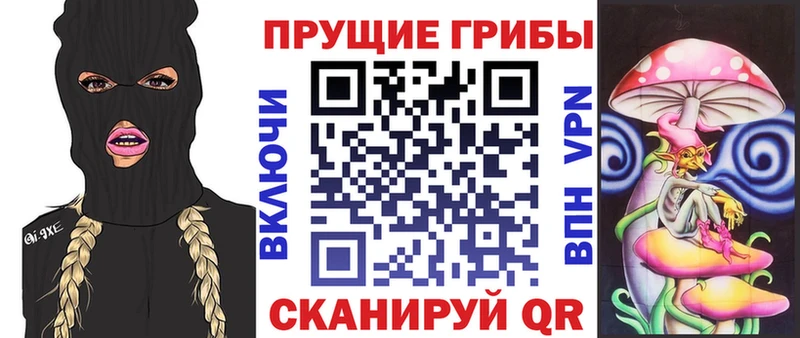 Псилоцибиновые грибы Magic Shrooms закладки Валдай